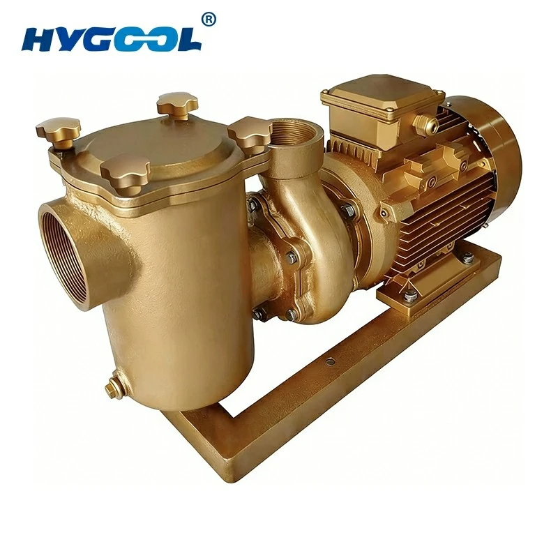 Pool Copper Pump suppliers Pool Copper Pump suppliers